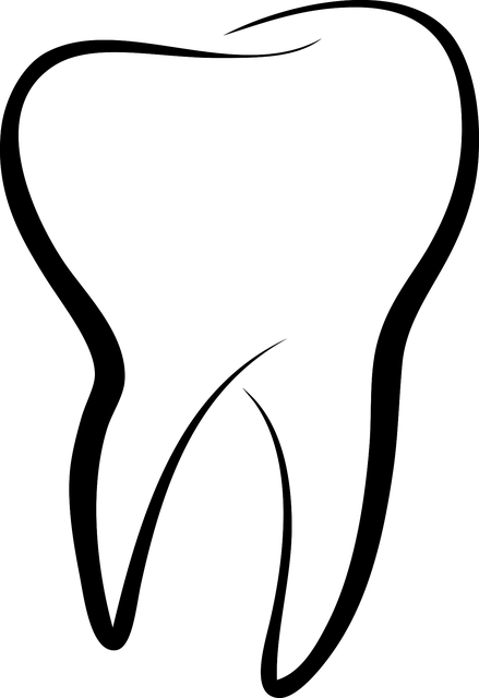 Zahntechnik Peine Zahntechnik Peine